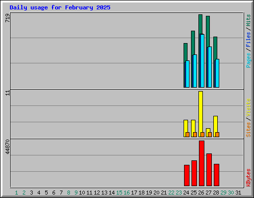 Daily usage for February 2025