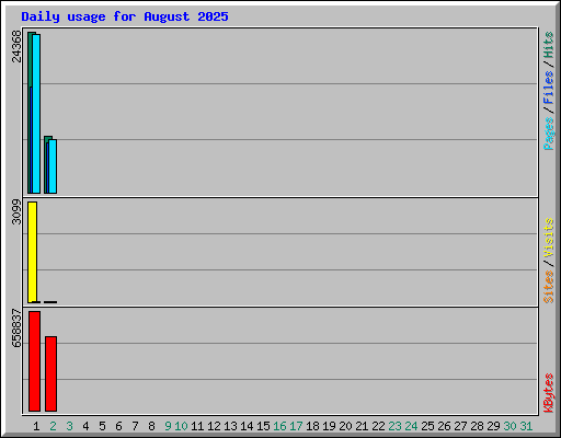 Daily usage for August 2025