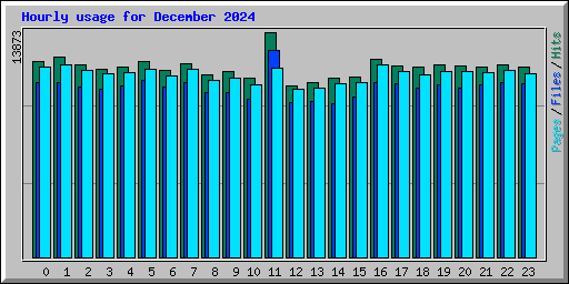 Hourly usage for December 2024