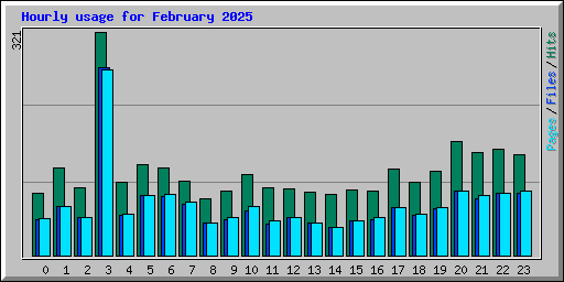 Hourly usage for February 2025
