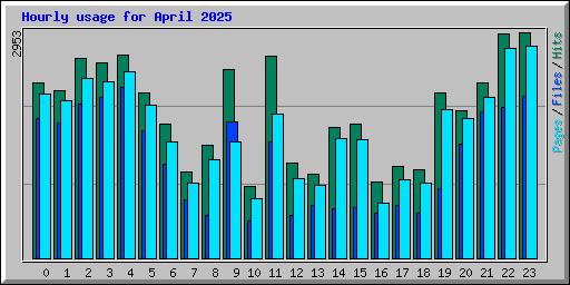 Hourly usage for April 2025