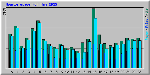 Hourly usage for May 2025