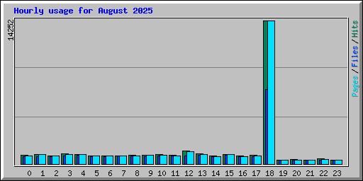 Hourly usage for August 2025