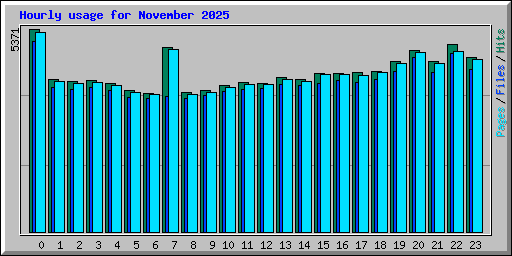 Hourly usage for November 2025