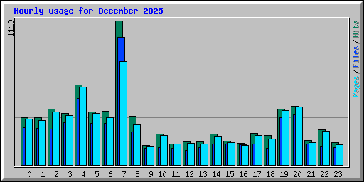 Hourly usage for December 2025
