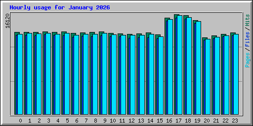 Hourly usage for January 2026